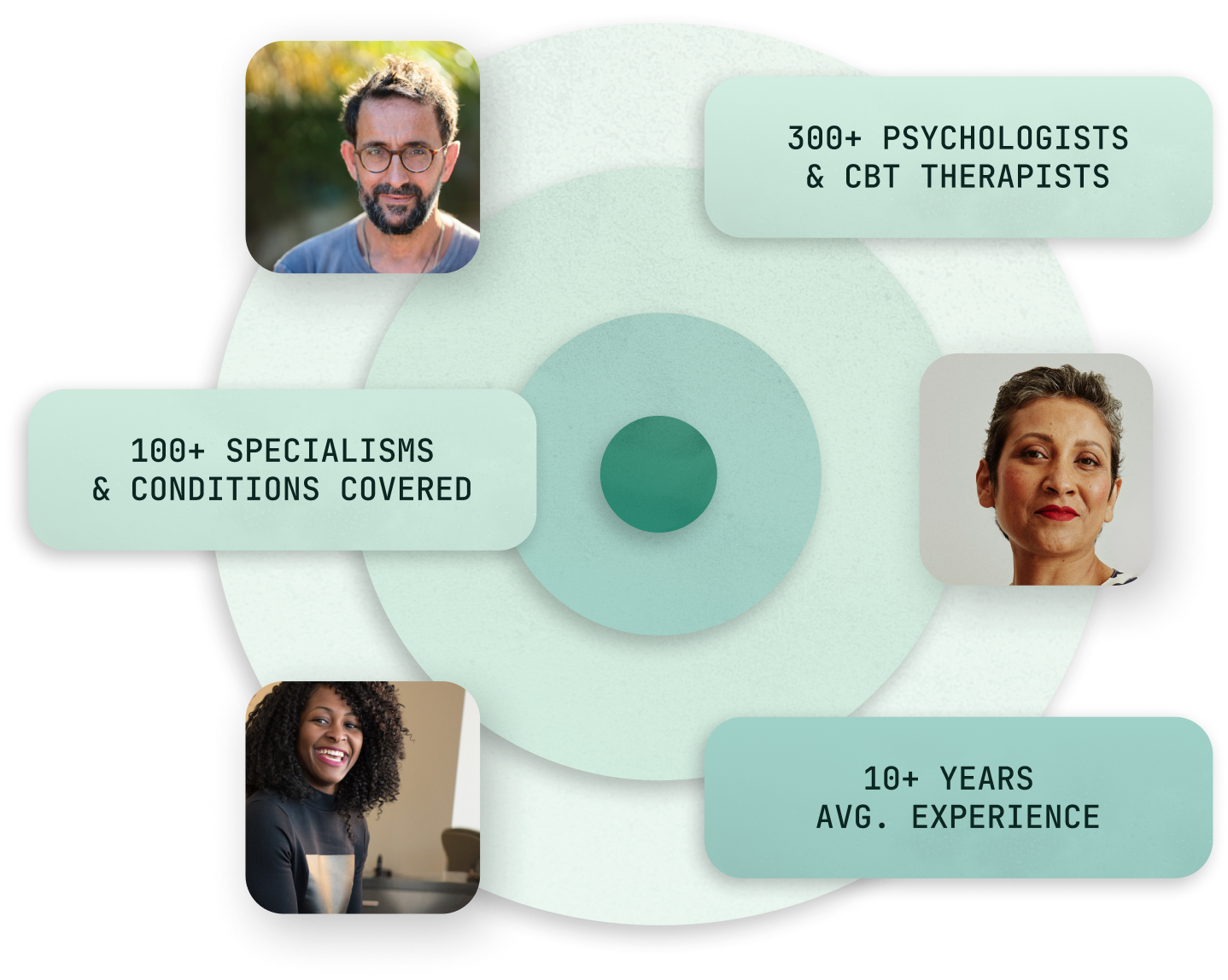 Copy of therapist network.png